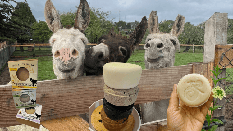 PRODUCTOS MAS VENDIDOS