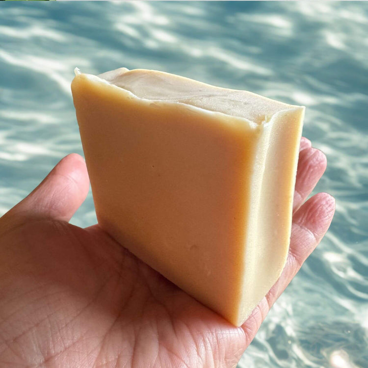 LECHE DE BURRA