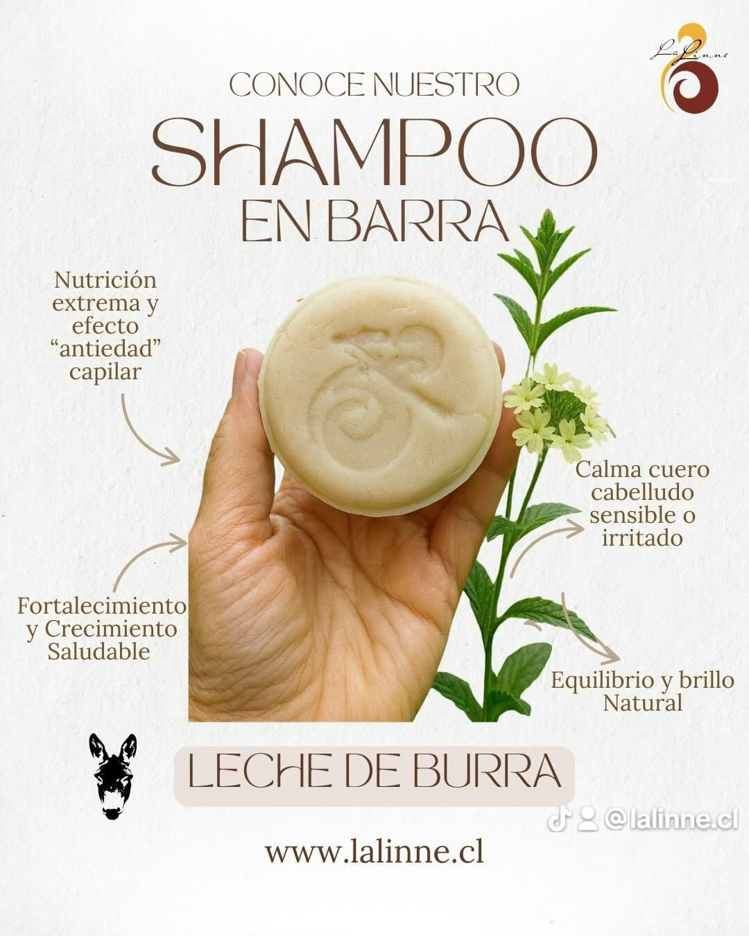 Shampoo sólido de leche de burra - nutrición profunda y brillo natural